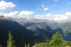 IMG_0395