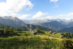 IMG_0399