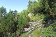 IMG_0040
