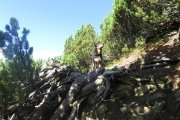 IMG_0046