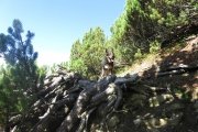 IMG_0049