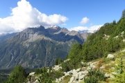 IMG_0058
