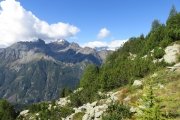 IMG_0060