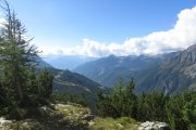 IMG_0079