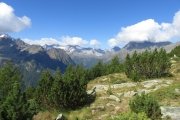 IMG_0084
