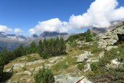 IMG_0085