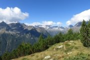 IMG_0087