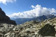 IMG_0117