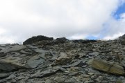 IMG_0160