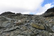 IMG_0174