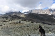 IMG_0198