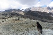 IMG_0199