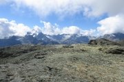 IMG_0205