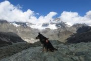 IMG_0229