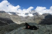 IMG_0232