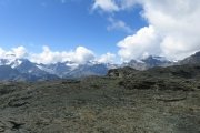 IMG_0235