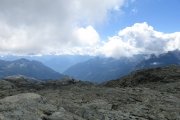 IMG_0239