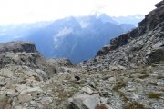 IMG_0301