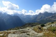 IMG_0330