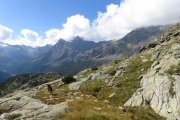 IMG_0334