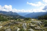 IMG_0347