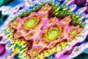03052013