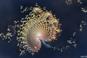 SlopeFibonacci