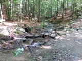 IMG_0004