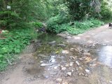 IMG_0008