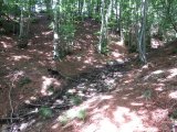 IMG_0009