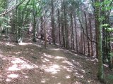 IMG_0020