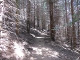 IMG_0022
