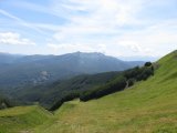 IMG_0031