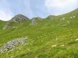 IMG_0041