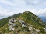 IMG_0051