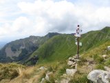 IMG_0056