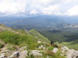 IMG_0088
