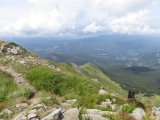IMG_0094