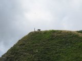 IMG_0120