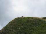 IMG_0121