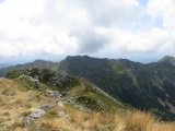 IMG_0137