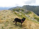 IMG_0157