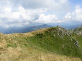 IMG_0159