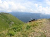 IMG_0160