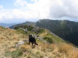 IMG_0166