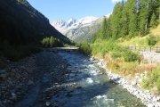 IMG_0003