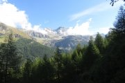 IMG_0016