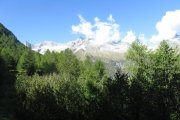 IMG_0024
