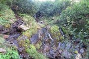 IMG_0028