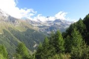 IMG_0036